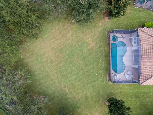 Orlando Home 974247