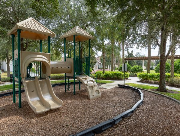 Orlando Home 974247