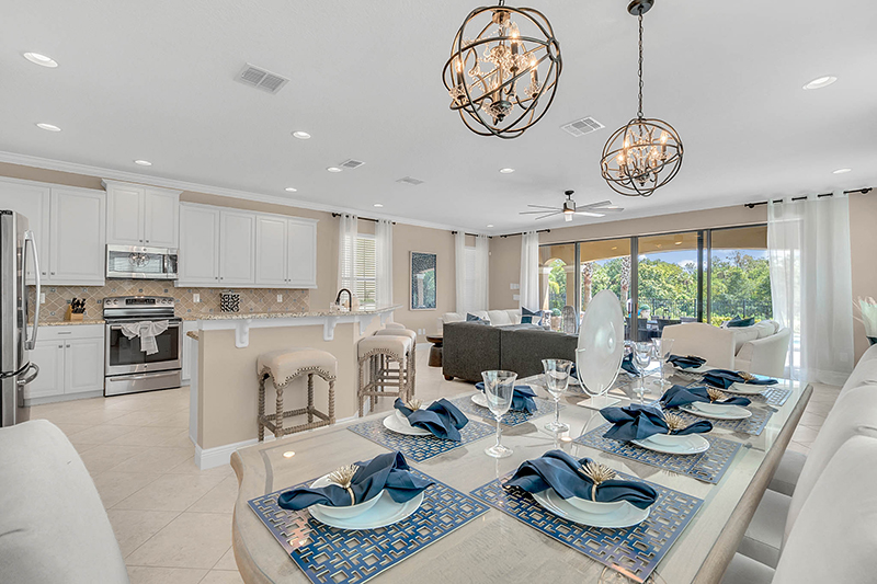 Orlando Home 974258