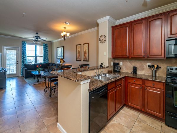 Orlando Condo 974263