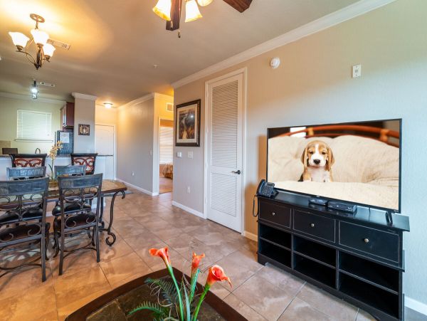 Orlando Condo 974263