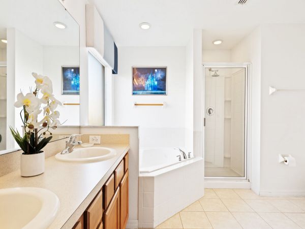 Orlando Home 974274