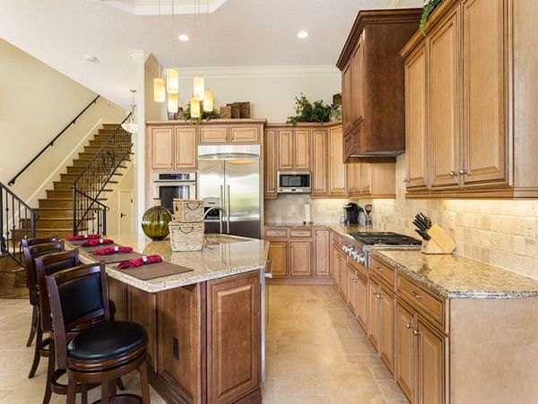 Orlando Home 974297