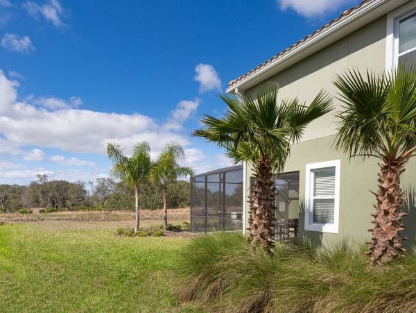 Orlando Home 974298