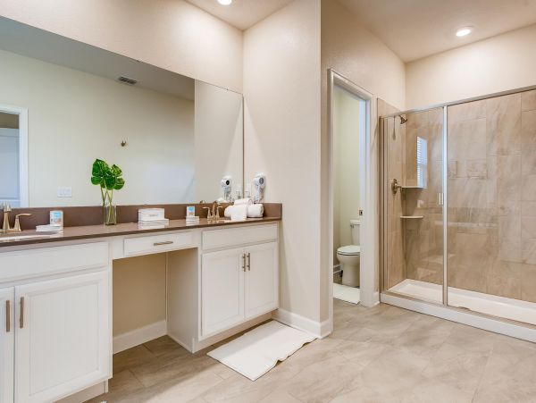 Orlando Home 974306
