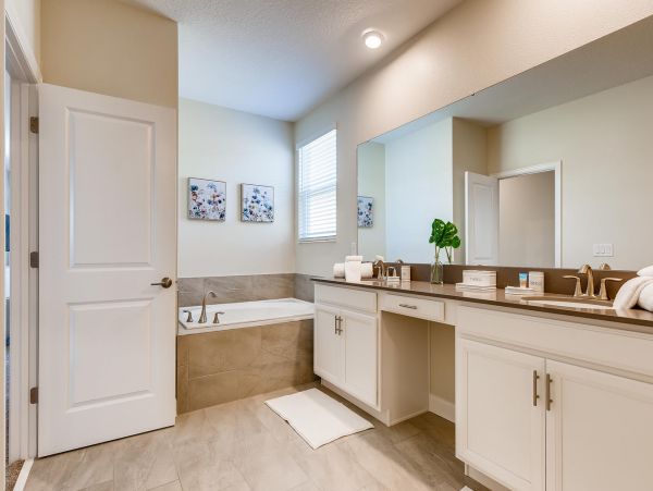 Orlando Home 974306