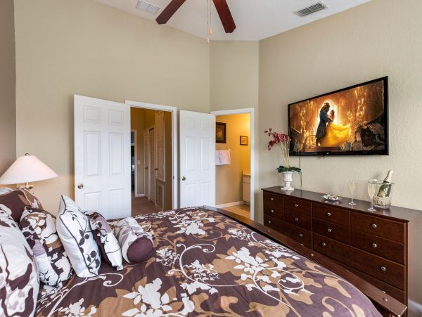 Orlando Home 974316