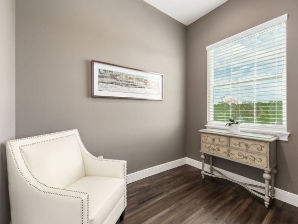 Orlando Home 974325