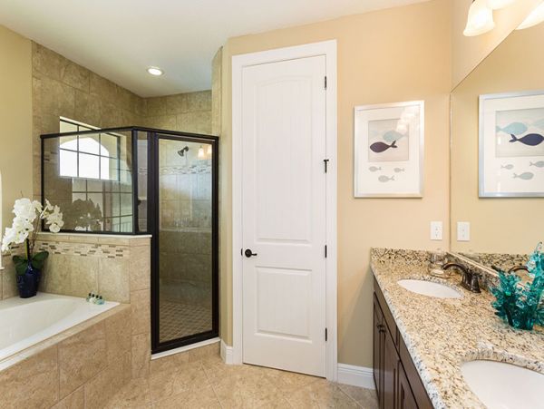 Orlando Home 974333