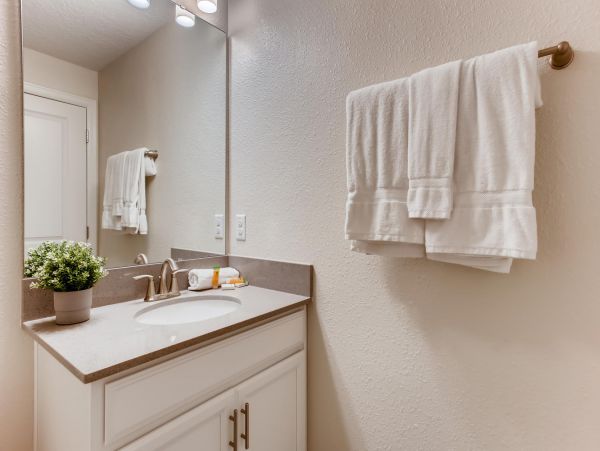 Orlando Home 974350