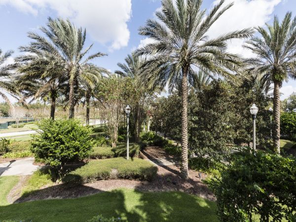 Orlando Condo 974352
