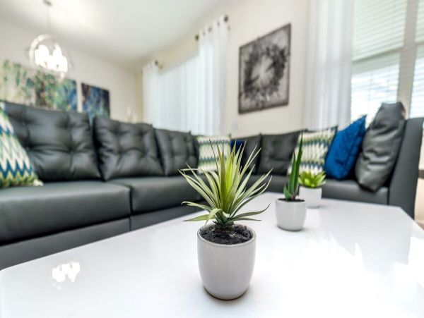 Orlando Home 974353