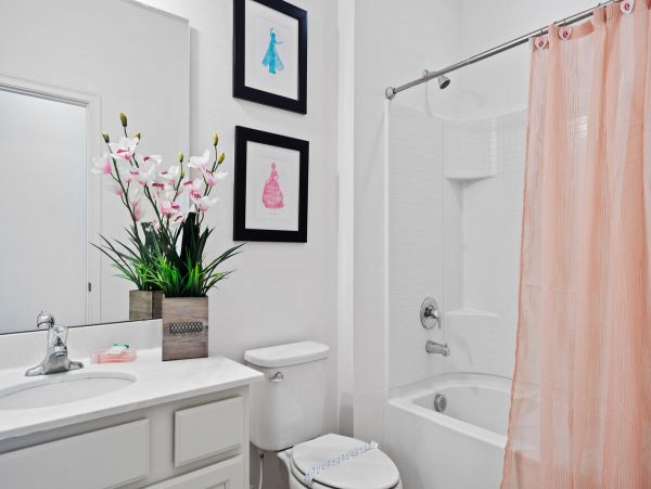 Orlando Home 974354