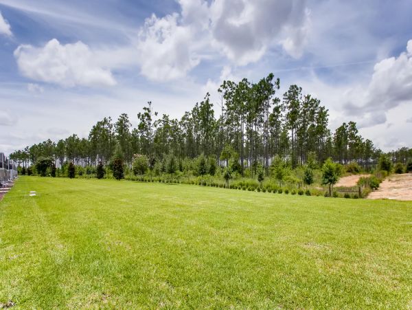 Orlando Home 974375