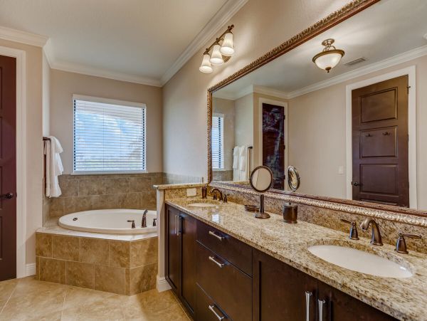 Orlando Home 974376