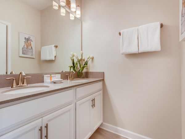 Orlando Home 974377