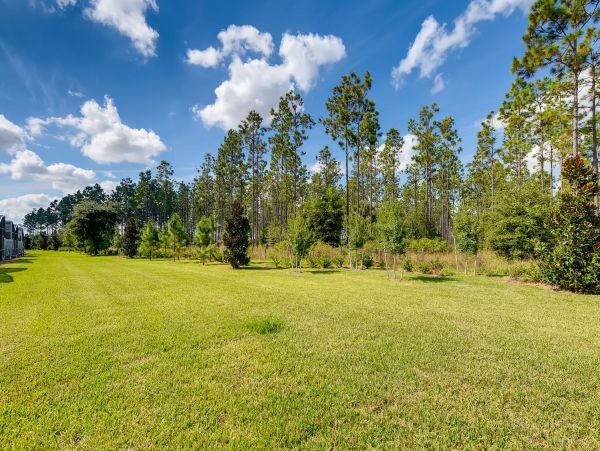 Orlando Home 974377