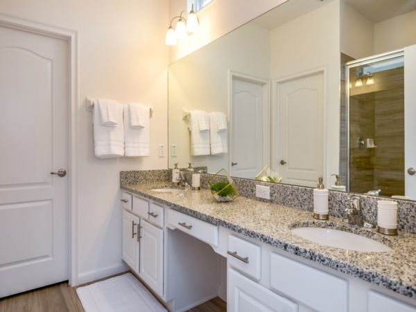 Orlando Home 974378
