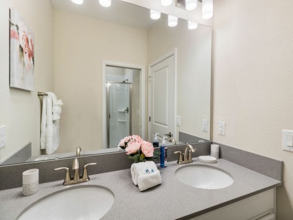 Orlando Home 974382