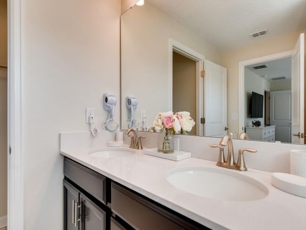 Orlando Home 974386