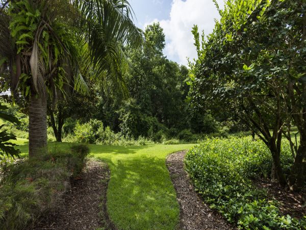 Orlando Condo 974394