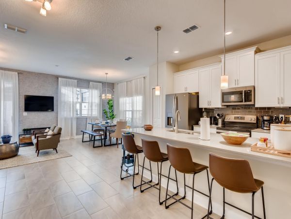 Orlando Home 974413