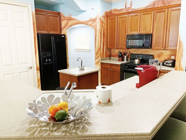 Orlando Home 974420