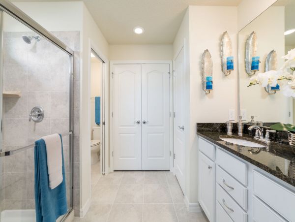 Orlando Home 974454