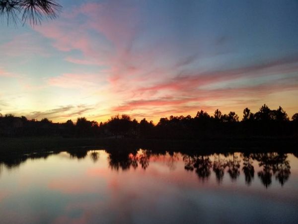 Orlando Home 974459