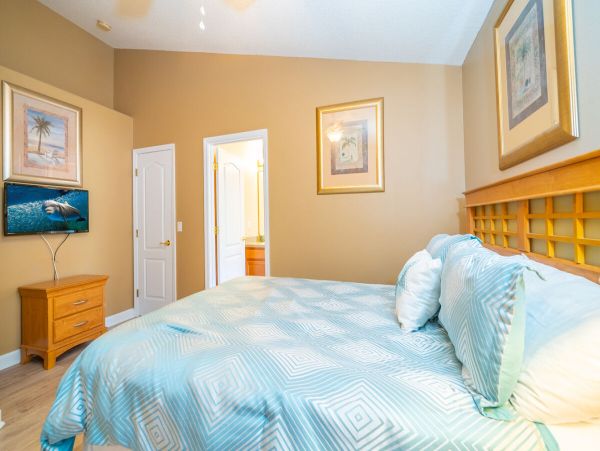 Orlando Home 974468