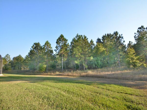 Orlando Home 974501