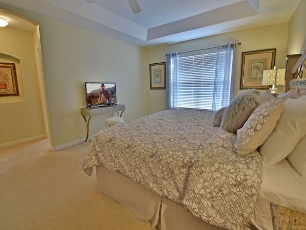 Orlando Home 974501