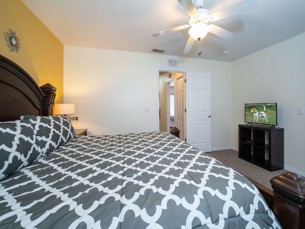 Orlando Home 974505
