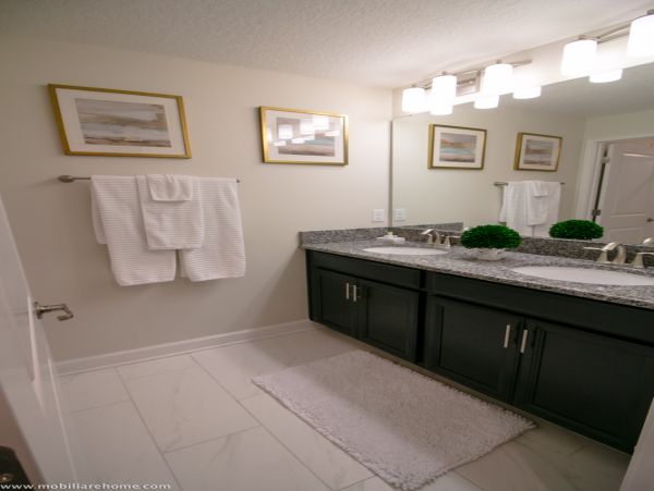 Orlando Home 974509