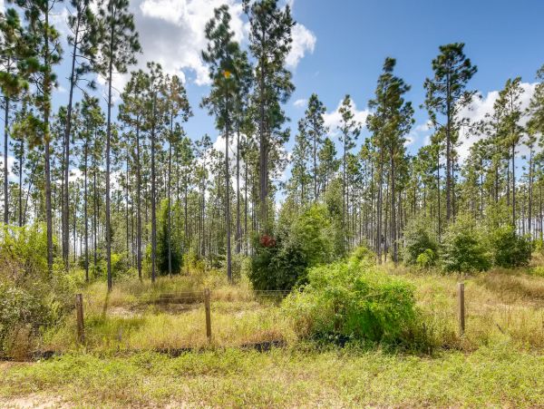Orlando Home 974515