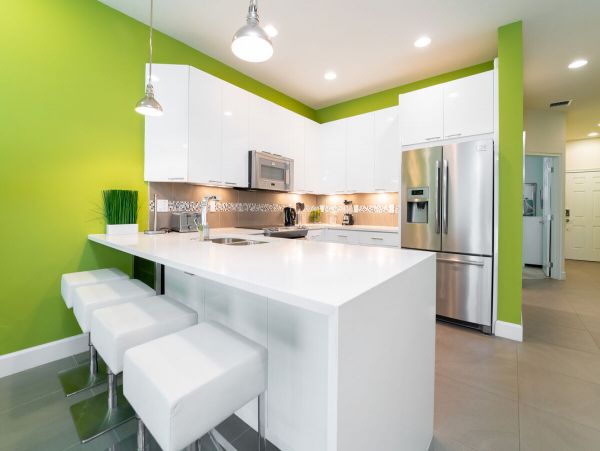 Orlando Home 974516