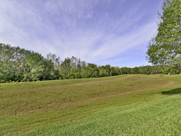 Orlando Home 974520