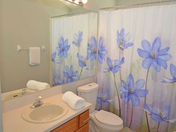 Orlando Home 974526