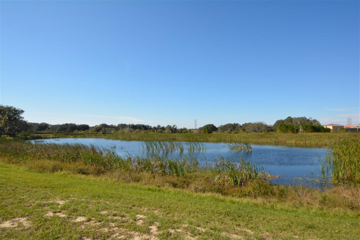 Orlando Home 974533