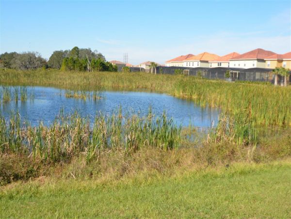 Orlando Home 974533