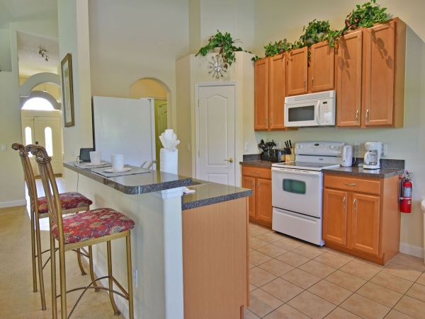 Orlando Home 974538