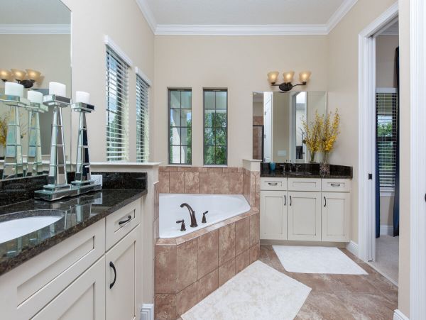 Orlando Home 974541
