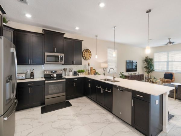 Orlando Home 974558