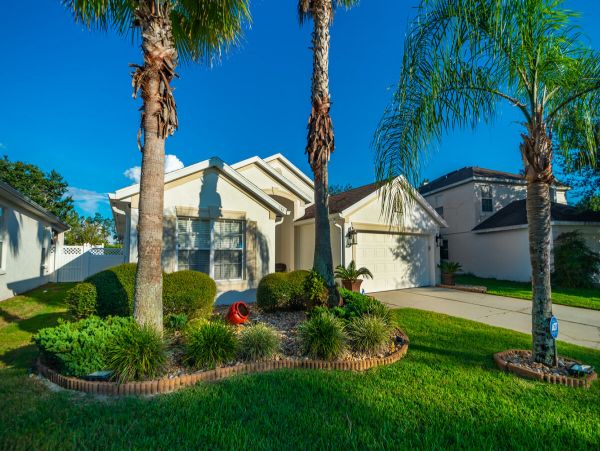 Orlando Home 974576