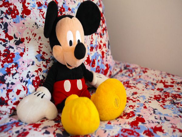 Orlando Home 974580
