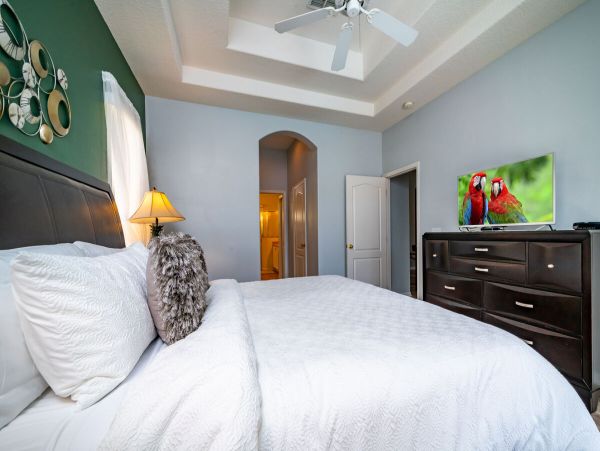 Orlando Home 974595