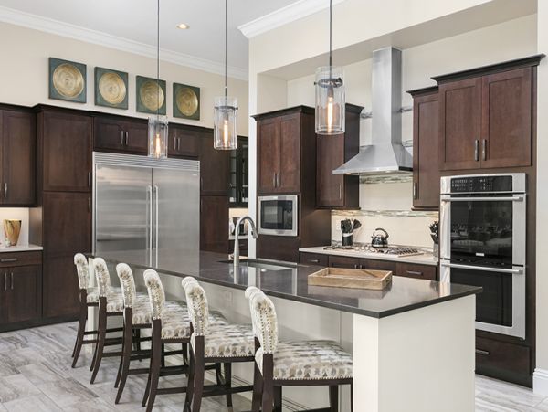 Orlando Home 974598