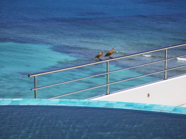 St. Barts Home 974612