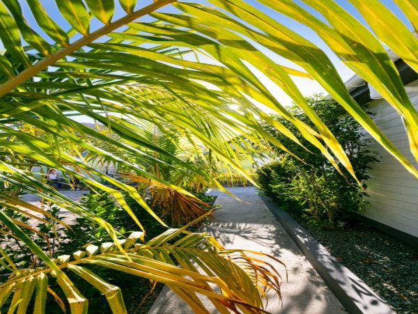 St. Barts Home 974689