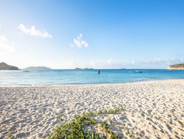 St. Barts Home 974689